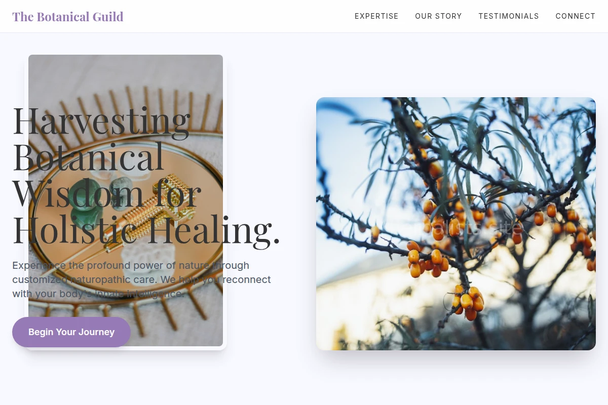 Elixir Naturopathy