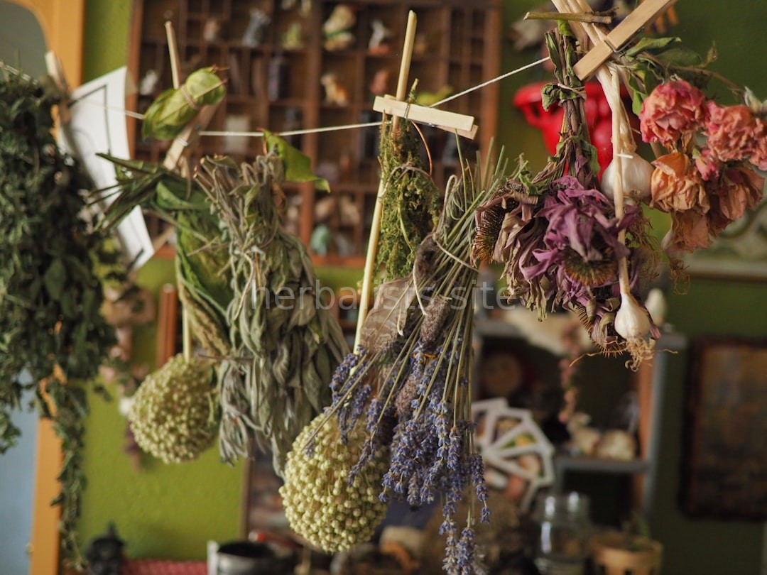 Apothecary