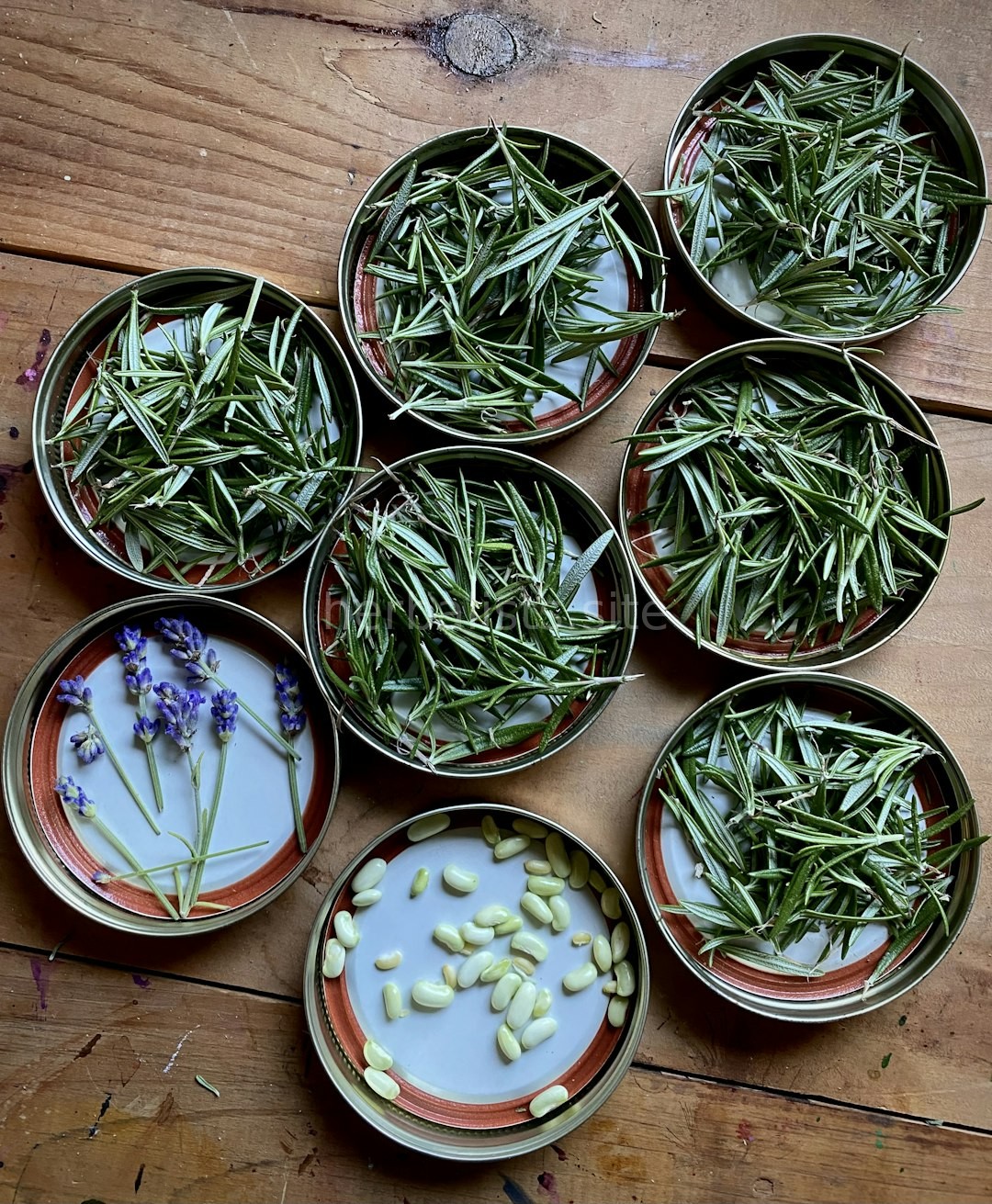 Herb 2