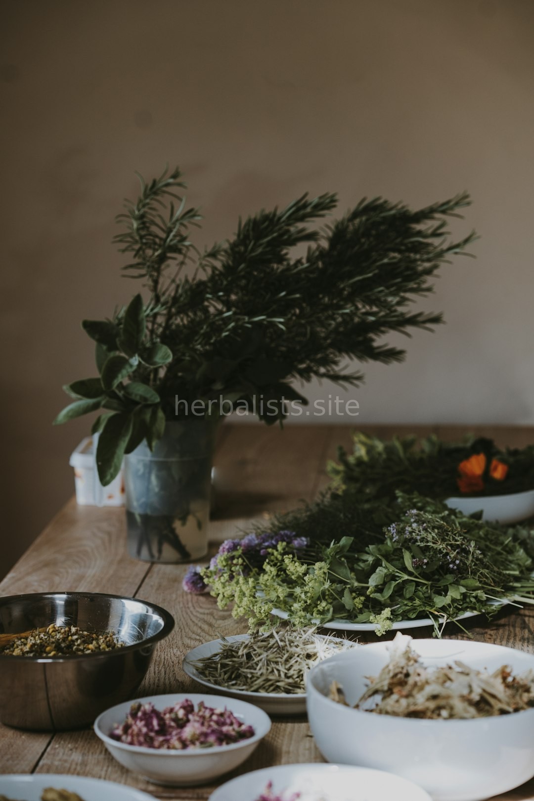 Botanical Background